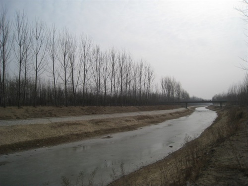 IMG_1137_copy