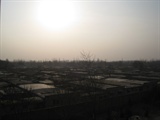 IMG_1095_copy