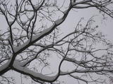 20091112 073