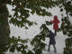 20091111雪12