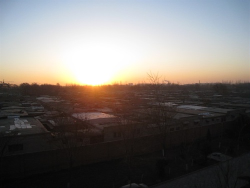 IMG_1015_copy
