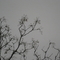 20091112 038