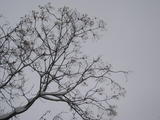 20091112 069