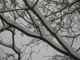 20091112 041
