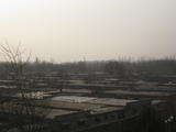 IMG_1092_copy