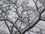 20091112 072