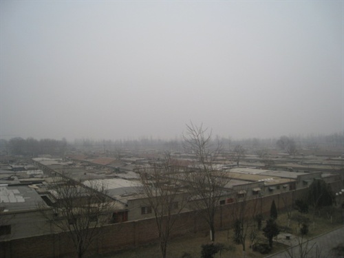 IMG_1089_copy