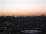 IMG_1014_copy