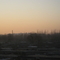 IMG_1046_copy