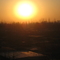 IMG_1048_copy