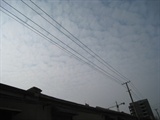 IMG_1108_copy