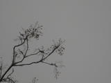 20091112 039