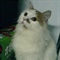 DSC03178
