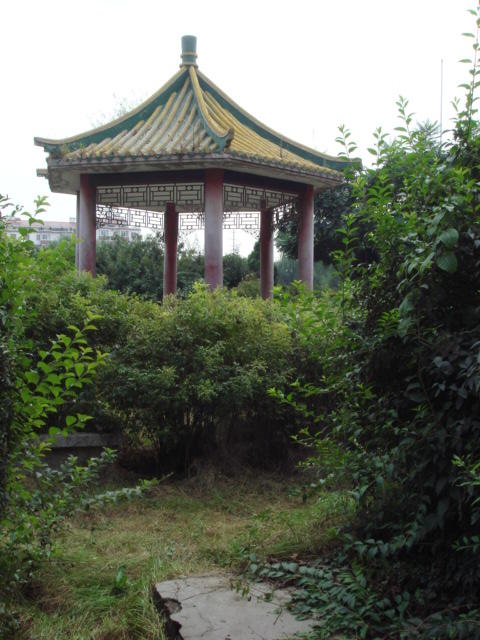 DSC00922
