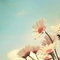 224fb067-8cf7-48ca-a6ac-d7c18e491f99