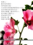 星期二