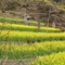 DSC01561
