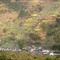DSC01621