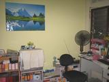 roomview 009