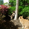 DSCN1454