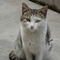 DSCN0348