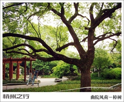无标题