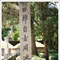 无标题