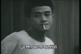 张楚