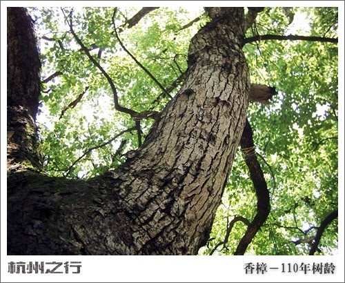 无标题