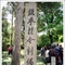 无标题