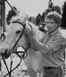 Harrison Ford