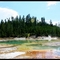 Yellow Stone 9