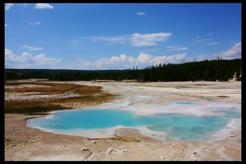 Yellow Stone 7