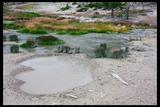 Yellow Stone 1