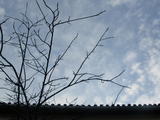 丽江小院的天空
