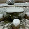 20091110之雪