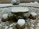 20091110之雪