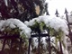 20091101之雪