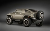 Hummer_2019