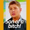 spn137