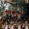 technicolorchoochoo-9