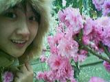 20080328152