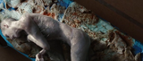 PDVD_005
