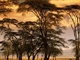 051123Webshots11