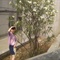 http_imgload[13]