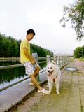 20090704120