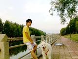 20090704119