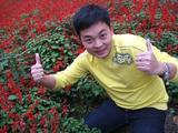 我在红花丛