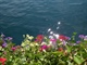 Immagine 006