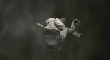 暴风截屏20091119211140